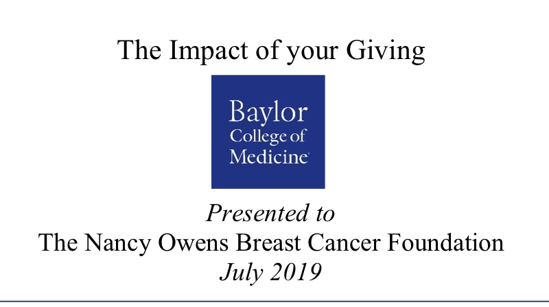 2019 Impact Report from Baylor College of Medicine